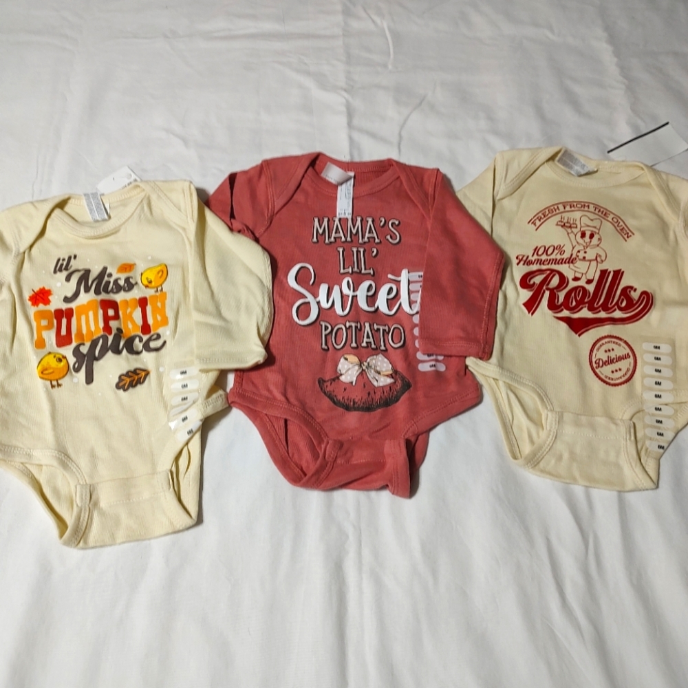 Baby Girl Onesies Bundle 6 months